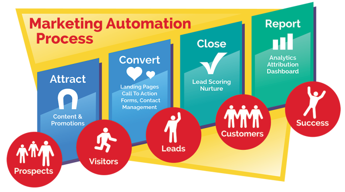 Marketing Automation Software programming