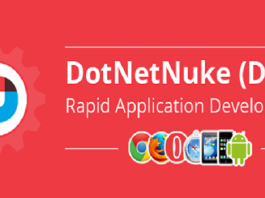 Hire Dotnet Nuke Web Developing